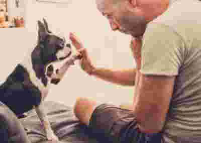 L&rsquo;obligation de loyauté du salarié: comment ça marche ?